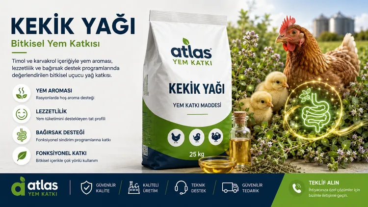 Kekik Yağı