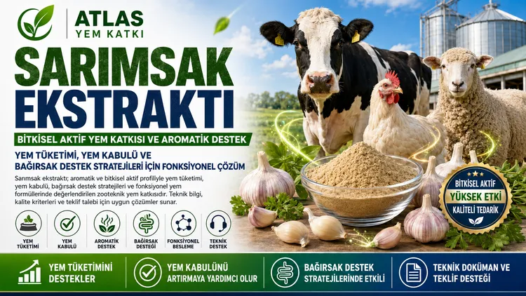 Sarımsak Ekstraktı bitkisel aktif yem katkısı
