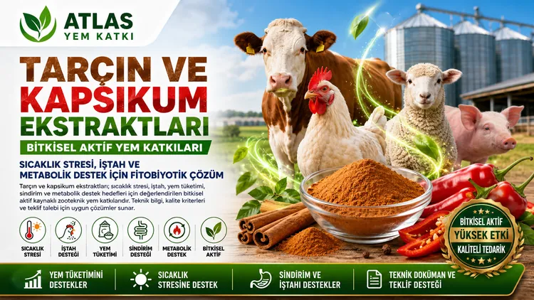 Tarçın ve kapsikum ekstraktları bitkisel yem katkısı
