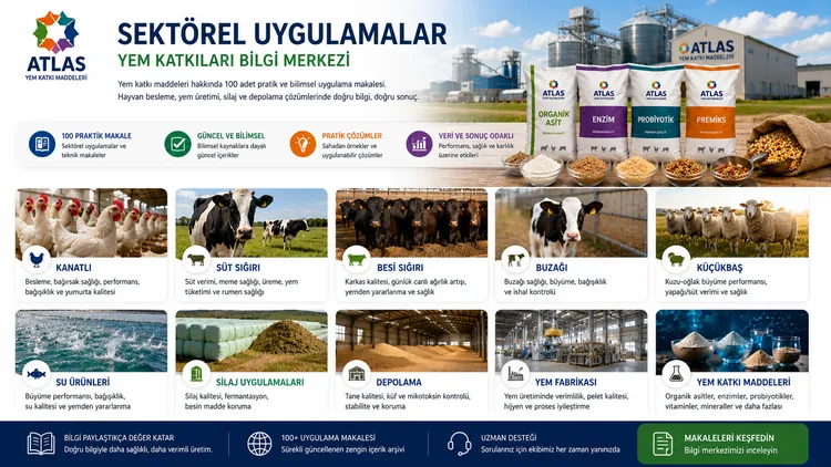 Formaldehit Alternatiflerini Değerlendirirken Nelere Bakılır
